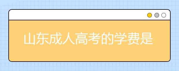 山东成人高考的学费是多少？费用高不高？