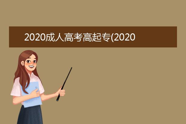 2020成人高考高起专(2020成人高考高起专作文)