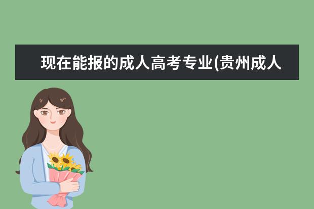 现在能报的成人高考专业(贵州成人高考可以报什么专业)