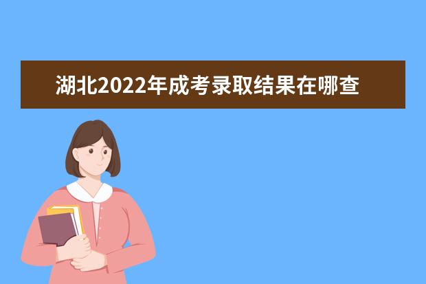 湖北2022年成考录取结果在哪查 系统入口