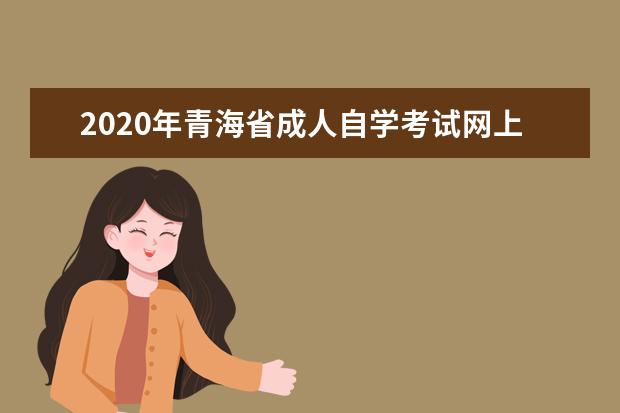 2020年青海省成人自学考试网上报名官网