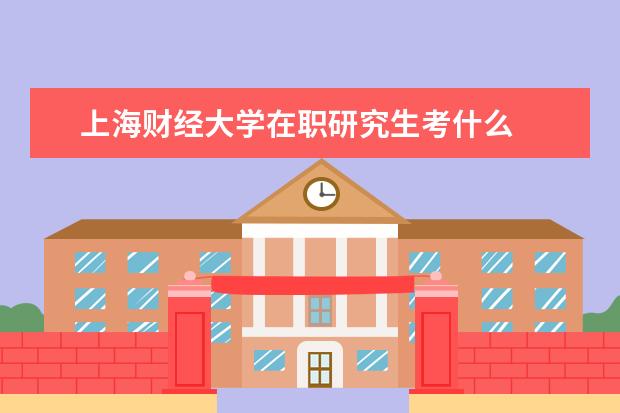 上海财经大学在职研究生考什么