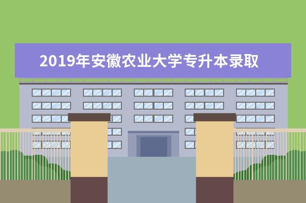 2019年安徽农业大学专升本录取分数线是多少？