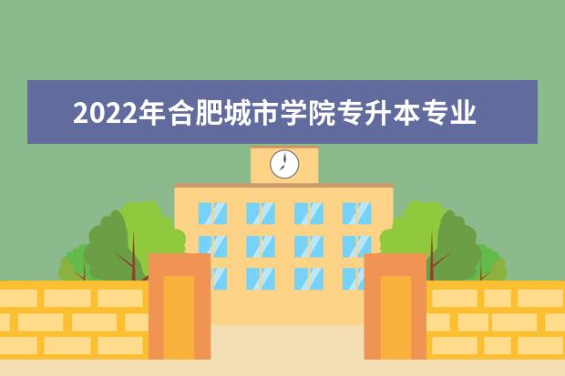 2022年合肥城市学院专升本专业课考试安排通知