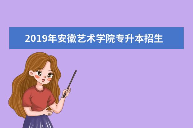 2019年安徽艺术学院专升本招生计划表一览