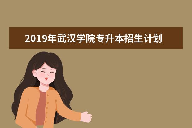 2019年武汉学院专升本招生计划表一览