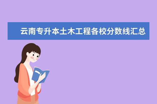 云南专升本土木工程各校分数线汇总