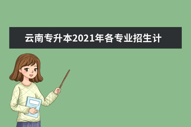 云南专升本2021年各专业招生计划汇总！