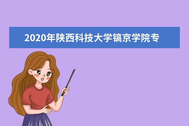 2020年陕西科技大学镐京学院专升本分数线是多少？