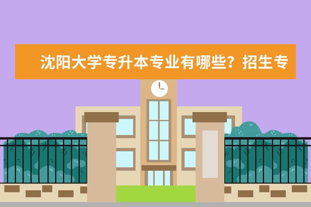 沈阳大学专升本专业有哪些？招生专业总计4个！