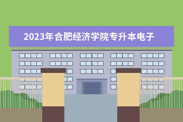 2023年合肥经济学院专升本电子商务专业考试大纲公布！