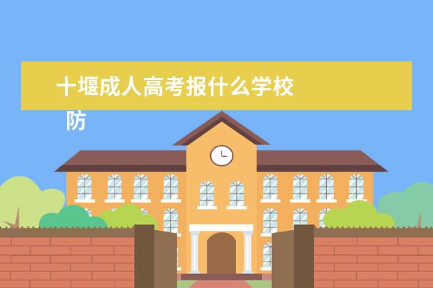 十堰成人高考报什么学校 
  防疫员岗位个人工作总结4