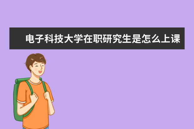 电子科技大学在职研究生是怎么上课的