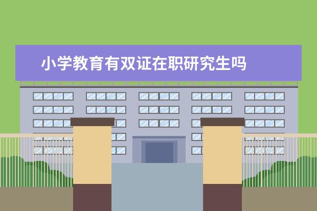 小学教育有双证在职研究生吗