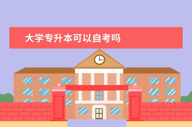 大学专升本可以自考吗