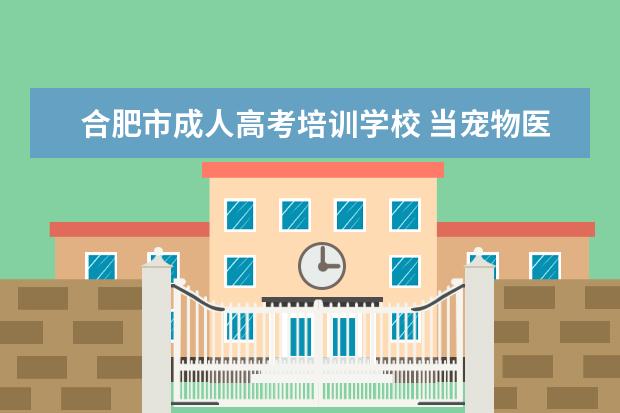 合肥市成人高考培训学校 当宠物医生需要考什么证吗?