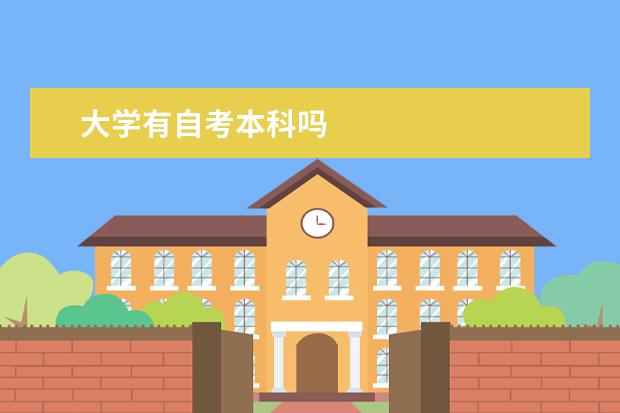 大学有自考本科吗