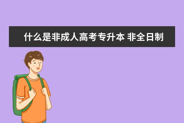 什么是非成人高考专升本 非全日制大专升本需要什么条件