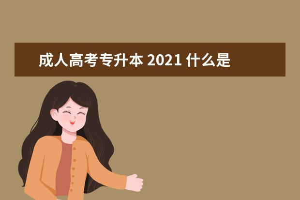 成人高考专升本 2021 什么是成人高考专升本,专升本有哪些途径?