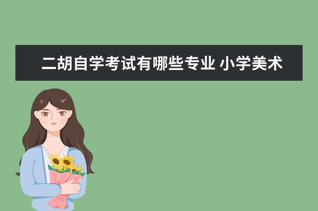 二胡自学考试有哪些专业 小学美术学科教学工作总结报告