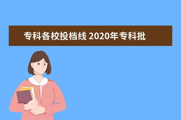 专科各校投档线 2020年专科批投档线