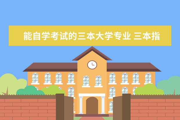 能自学考试的三本大学专业 三本指的是什么