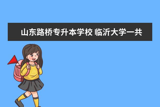 山东路桥专升本学校 临沂大学一共有多少个学院?工科类学院具体介绍,谢谢...