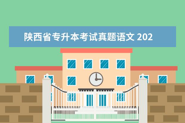 陕西省专升本考试真题语文 2020陕西专升本考试:语文文学常识(4)?