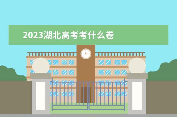 2023湖北高考考什么卷