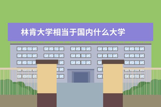 林肯大学相当于国内什么大学