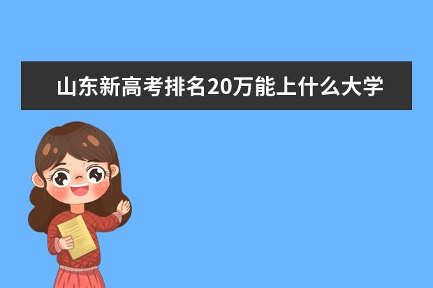 山东新高考排名20万能上什么大学?