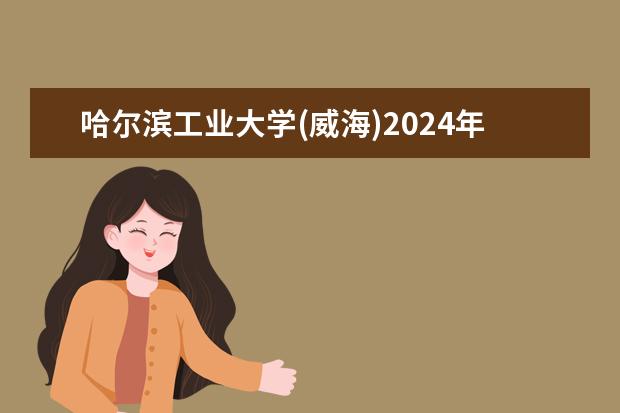 哈尔滨工业大学(威海)2024年在山东招生计划