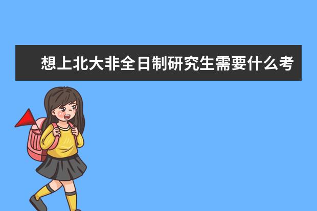 想上北大非全日制研究生需要什么考试?