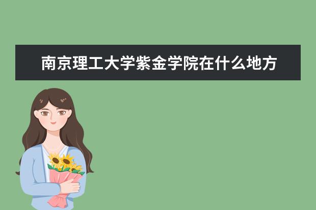 南京理工大学紫金学院在什么地方