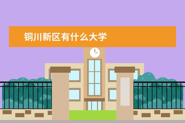 铜川新区有什么大学