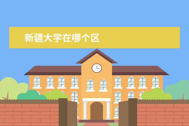 新疆大学在哪个区